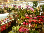 兵庫県尼崎市の花屋 フラワーショップみずほ 塚口店にフラワーギフトはお任せください 当店は 安心と信頼の花キューピット加盟店です 花キューピットタウン